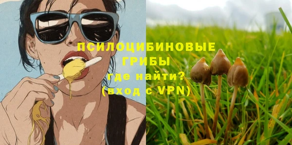 скорость Белокуриха