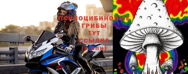скорость Белокуриха