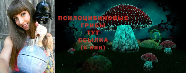 скорость Белокуриха