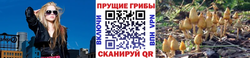 Псилоцибиновые грибы мухоморы  закладки  Кстово 